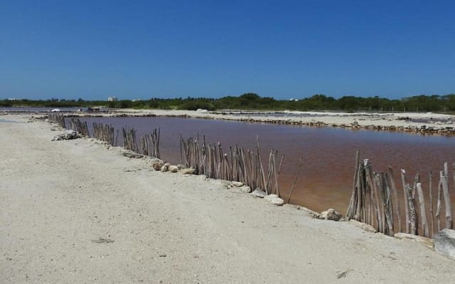 Birdwatching around Merida and coastline photo 6