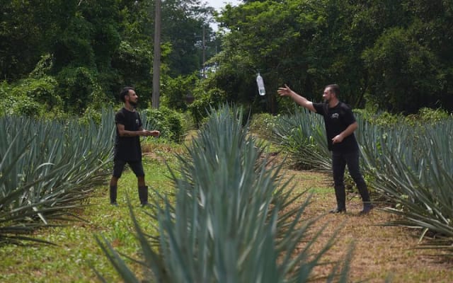 Visite de tequila à Finca 18 Puerto Vallarta + accord avec le chocolat photo 13