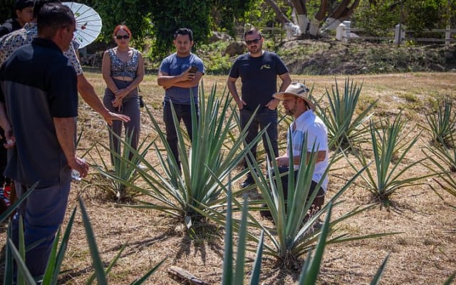 Visite de tequila à Finca 18 Puerto Vallarta + accord avec le chocolat photo 2
