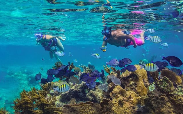 Riviera Maya Luxury Snorkeling Cruise with Lunch and Drinks photo 12