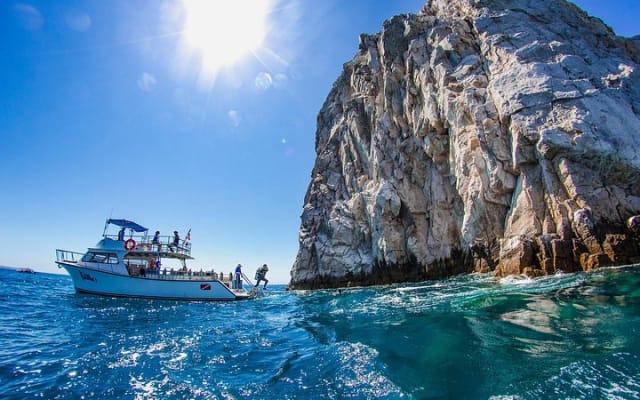 Apprenez à plonger à Cabo San Lucas avec PADI photo 12