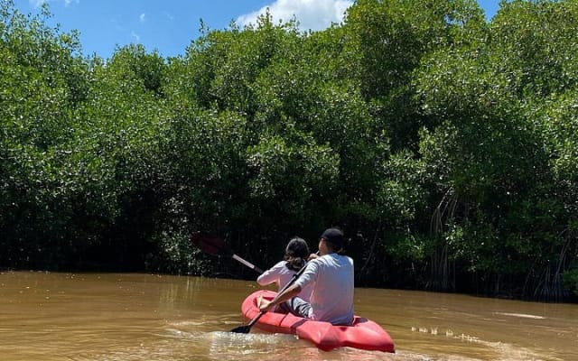 Tour en kayak por los manglares y la playa de Sisal desde Mérida photo 9