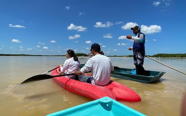 Tour en kayak por los manglares y la playa de Sisal desde Mérida photo 8