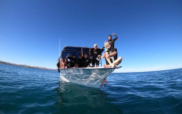 Snorkeling avec les requins-baleines à La Paz et déjeuner depuis Los Cabos photo 6
