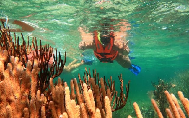 ATV Adventure Combo with Snorkeling, Ziplines, Cenote, and Lunch photo 2