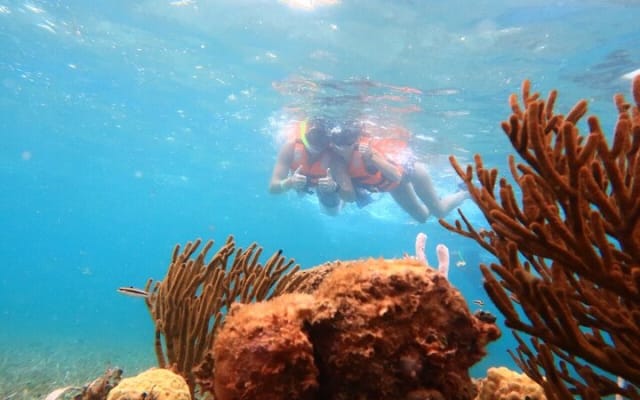 ATV Adventure Combo with Snorkeling, Ziplines, Cenote, and Lunch photo 4