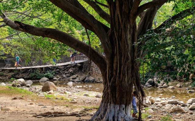 Puerto Vallarta Self-Guided Walking Tour with Audio Guide photo 6
