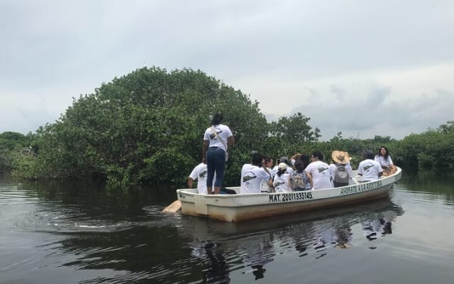 Wildlife Eco Tour on the coast of Oaxaca. photo 10
