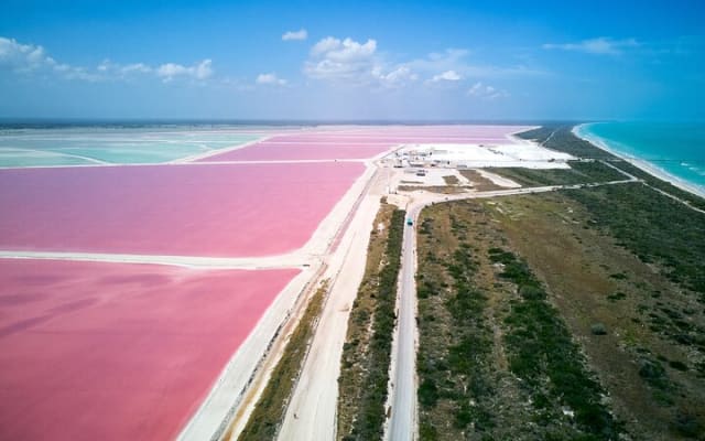Las Coloradas Pink Lake & Rio Lagartos Guided Tour + Entry Fees photo 4