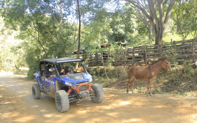 QUAD OU RZR : évadez-vous dans les montagnes pendant 4 heures photo 6