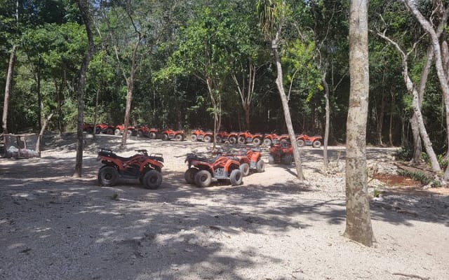 Tulum Ruins ATV Adventure and Cenote Swim with Mexican Food photo 6
