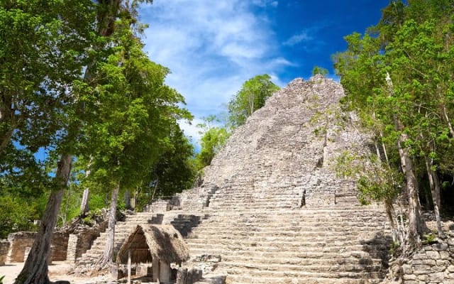 Coba Ruins Self-Guided Walking Tour with Audio Guide photo 4