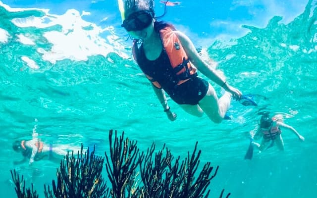 Private Tour Reefs and Corals Puerto Morelos Snorkel Lunch photo 3