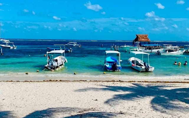 Private Tour Reefs and Corals Puerto Morelos Snorkel Lunch photo 11
