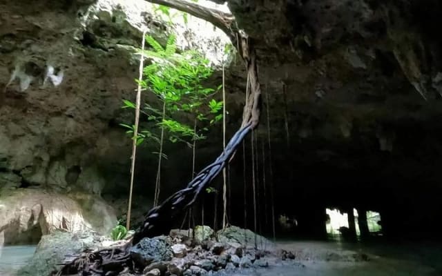 Cenotes de Sac Actun, excursion privée photo 6