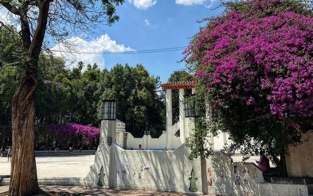 Mexico : visite à pied des trésors cachés de Condesa et Roma Norte photo 7