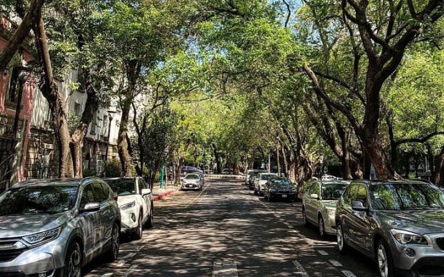 Mexico : visite à pied des trésors cachés de Condesa et Roma Norte photo 10