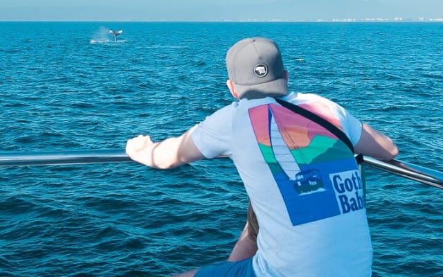 Expérience ultime d’observation des baleines tout inclus photo 2