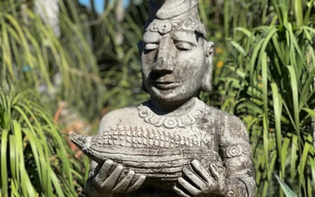 Visite d'une demi-journée du Jardin botanique de Puerto Vallarta photo 7
