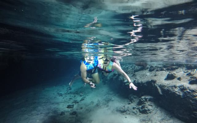 Snorkeling with Sea Turtles and Cenote Adventure photo 2