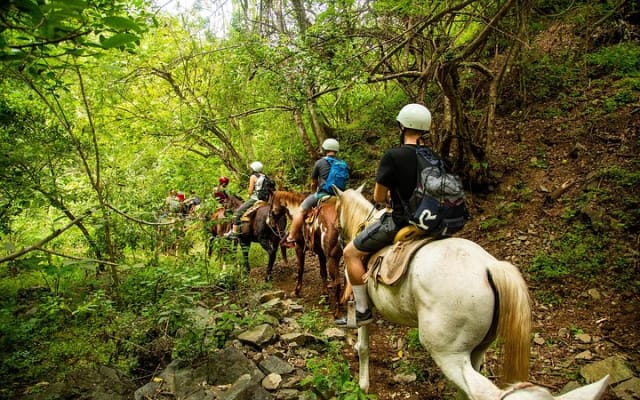Randonnée à cheval dans la Sierra Madre depuis Puerto Vallarta photo 13