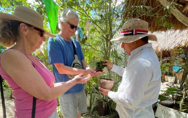 Private Tour Coba Ruin Punta Laguna Monkey Spider Cenote Mayan Village photo 11