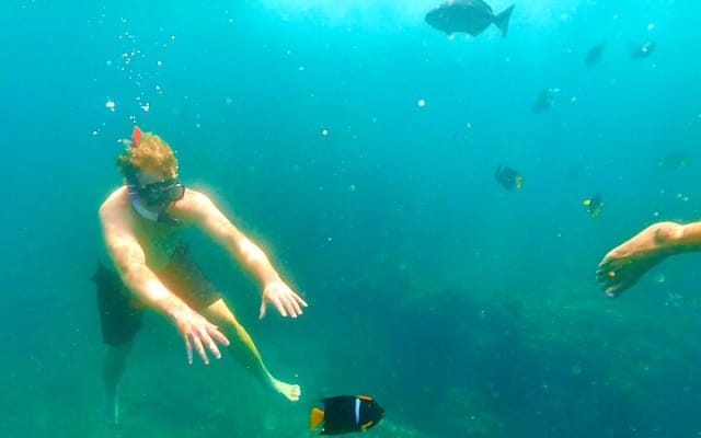 Los Arcos 5 îles : snorkeling, saut de falaise et plage cachée photo 11