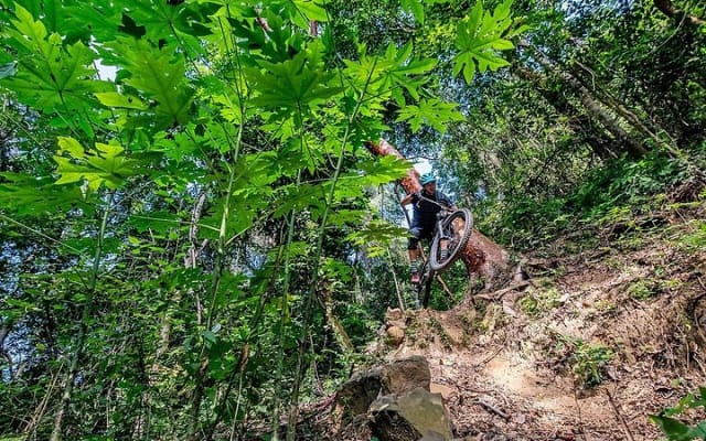 SINGLETRACK MOUNTAIN BIKE - Guided through the jungle photo 9