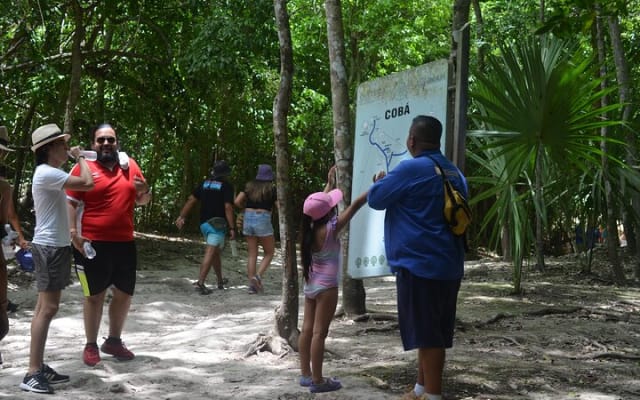 TULUM 4x1 : Archaeological Site, Cenote, 5th Avenue and lunch photo 6