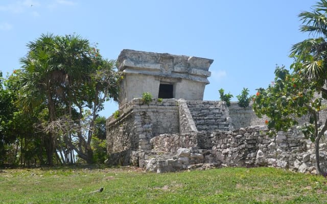TULUM 4x1 : Archaeological Site, Cenote, 5th Avenue and lunch photo 2