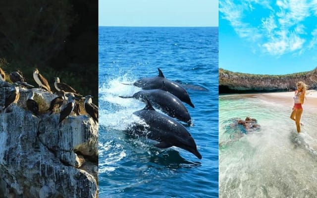 Conoce la famosa Playa Escondida en lancha rápida con snorkel photo 11