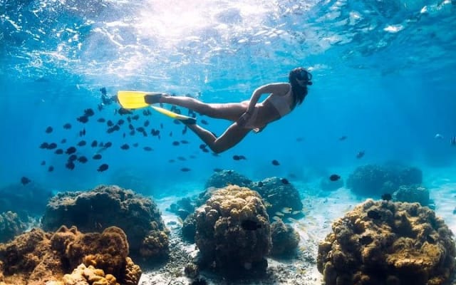 Conoce la famosa Playa Escondida en lancha rápida con snorkel photo 6