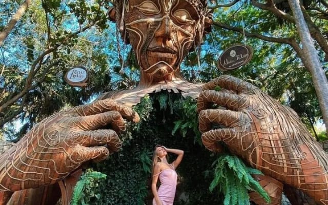 Mother Nature Tour, Turtle House and Tulum All Inclusive photo 2