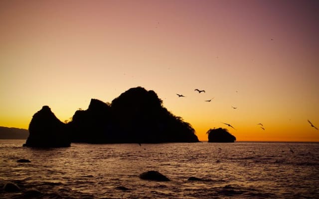 Sunset and Bioluminescence Boat Tour at Los Arcos Islands photo 7