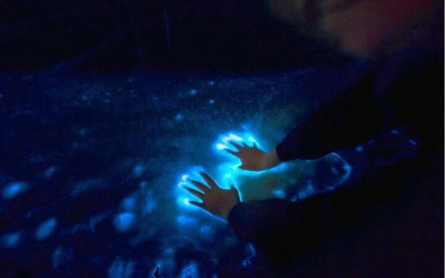 Sunset and Bioluminescence Boat Tour at Los Arcos Islands