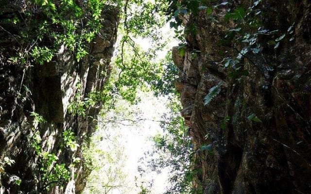 Aventura de senderismo en la selva y baño en cascada. Ecoparque Nogalito photo 5