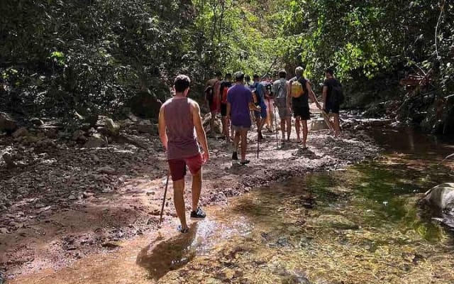 Jungle Hiking Adventure and Waterfall Swim. Nogalito Ecopark
