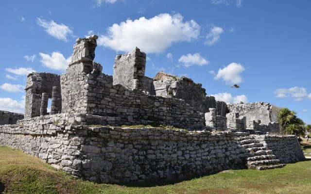 Tulum Ruins, Sea Turtles & Cenote Swim Adventure Tour photo 7