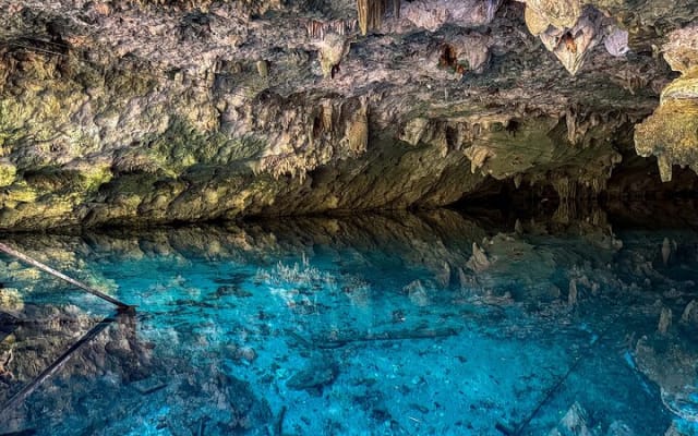 Tulum Ruins, Sea Turtles & Cenote Swim Adventure Tour photo 8