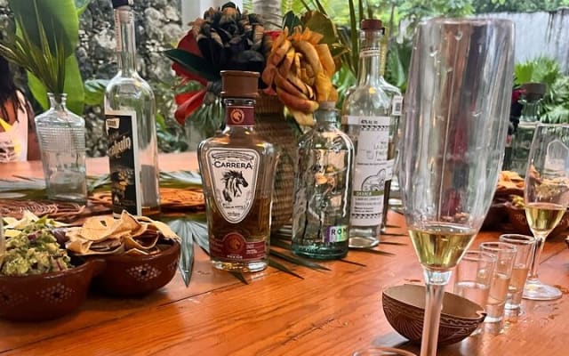 Experience of Tequila and Mezcal photo 3