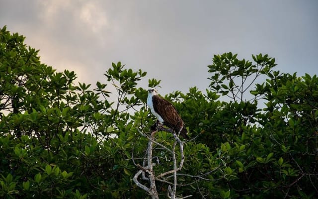 Breathtaking Sunset at Sian Ka'an photo 5