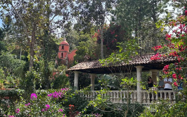 Private Tour: Botanical Garden & Petroglyphs
