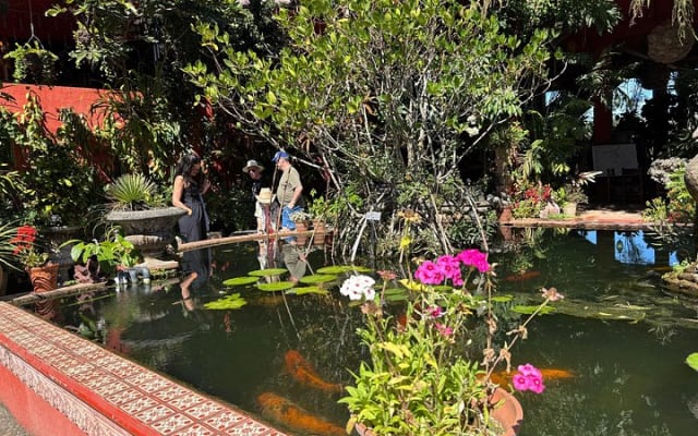 Private Tour: Botanical Garden & Petroglyphs photo 4