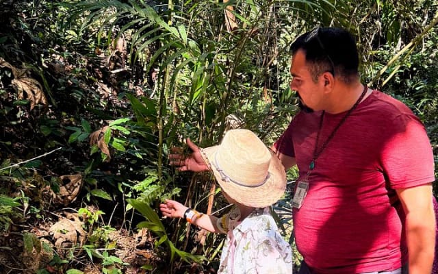 Private Tour: Botanical Garden & Petroglyphs photo 8