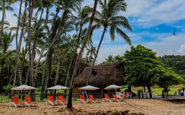 Excursión de un día a Sayulita y San Pancho desde Puerto Vallarta photo 10