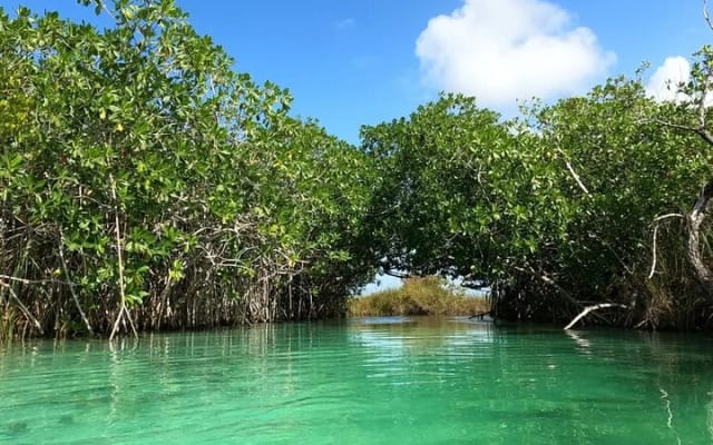 Sian Ka'an Biosphere Reserve Guided Tour photo 3