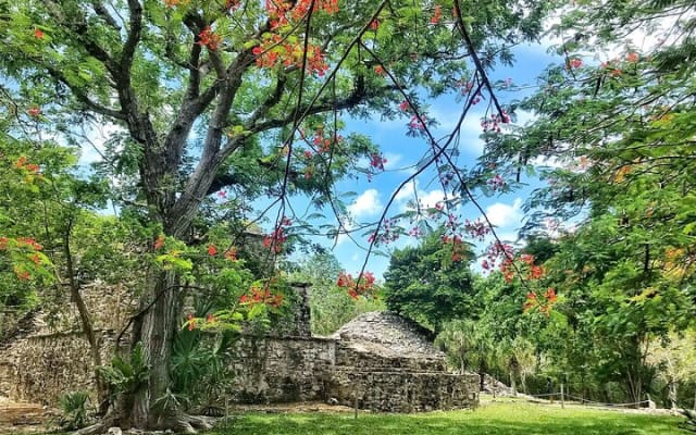 Sian Ka'an Biosphere Reserve Guided Tour photo 7
