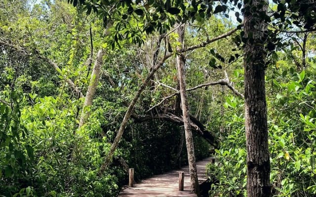 Sian Ka'an Biosphere Reserve Guided Tour photo 8