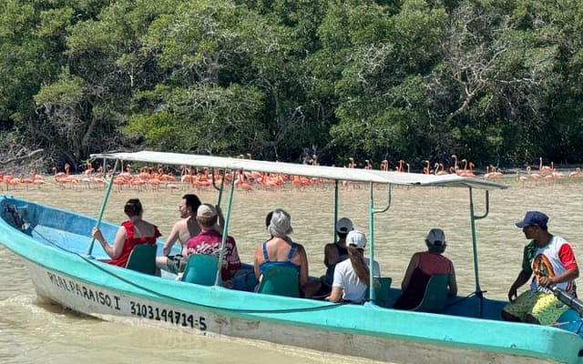 Paseo en lancha por los manglares de Celestún y playa desde Mérida photo 13