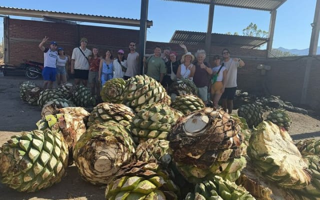 Excursion à Hierve el Agua, arbre du Tule, Mitla et distillerie de mezcal photo 8